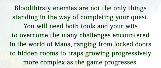 Bloodthirsty enemies are not the only things standing in the way of completing your quest. You will need both tools and your wits to overcome the many challenges encountered in the world of Mana, ranging from locked doors to hidden rooms to traps growing progressively more complex as the game progresses.