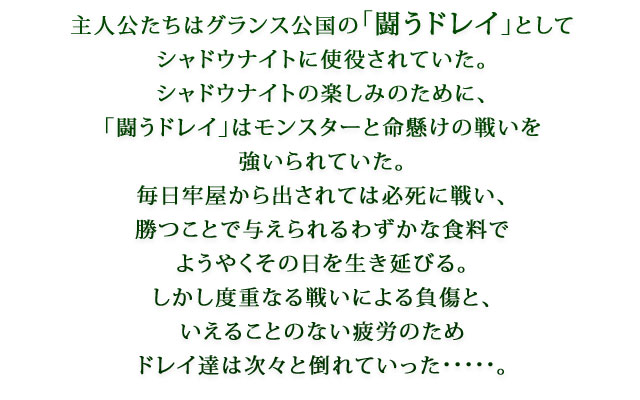 主人公たちはグランス公国の「闘うドレイ」としてシャドウナイトに使役されていた。シャドウナイトの楽しみのために、「闘うドレイ」はモンスターと命懸けの戦いを強いられていた。毎日牢屋から出されては必死に戦い、勝つことで与えられるわずかな食料でようやくその日を生き延びる。しかし度重なる戦いによる負傷と、いえることのない疲労のためドレイ達は次々と倒れていった・・・・・。