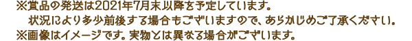 ※賞品の発送は2021年7月末以降を予定しています。状況により多少前後する場合もございますので、あらかじめご了承ください。※画像はイメージです。実物とは異なる場合がございます。