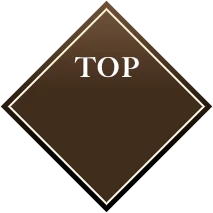 PAGE TOP