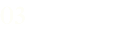 その他の進化要素