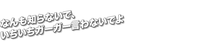 なんも知らないで、いちいちガーガー言わないでよ