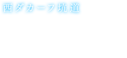 西ダカーフ坑道　レスリア王国とトレクール王国を繋ぐ、今は廃坑となった古い坑道。長い間放置されていたため、もう詳しい道を覚えているものは誰もいない。間違って一人で入って迷ってしまったら命を落とす危険がある場所だ。