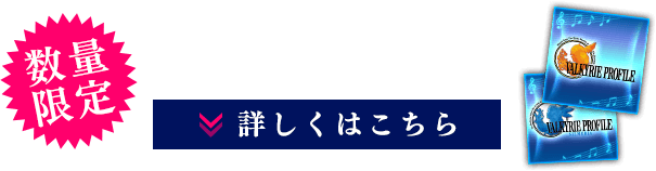 【数量限定】初回限定生産特典　あの名曲のカスタムBGM！　詳しくはこちら