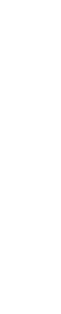 記憶を失った少女との出逢いが運命の歯車を回していく。