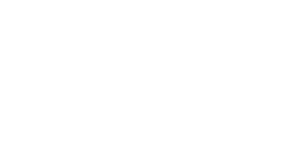 若干22歳ながら特応作戦群に所属する、ヴィクトルの部下。 呪印術の能力が高く、ランドック王立呪印研究所でフィオーレと共に仕事をしていたことも。己 の能力を証明するために、レスリア王国軍に参加する。 実はいいところのお嬢さんで「ですわ」調で話す。