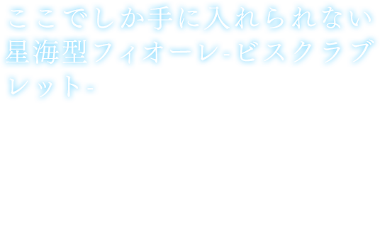 ここでしか手に入れられない星海型フィオーレ-ビスクラブレット-