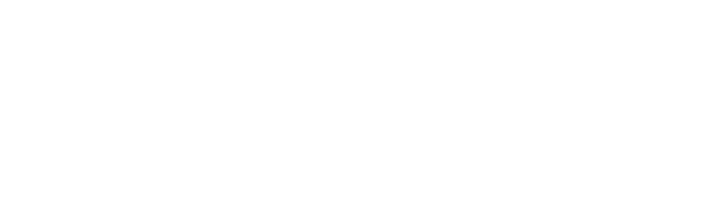 レイは、どこから来たというのです？