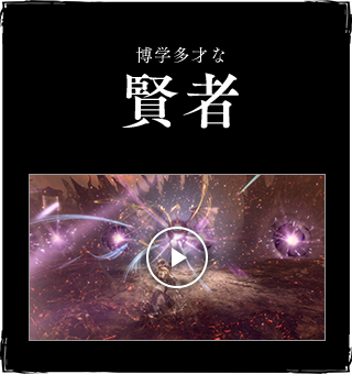 博学多才な賢者