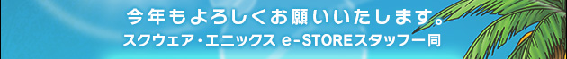 N낵肢܂BXNEFAEGjbNX e-STOREX^btꓯ