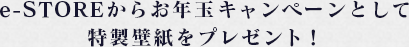 e-STORE炨NʃLy[Ƃēǎv[gI