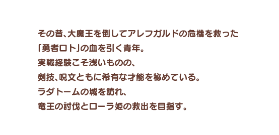 その昔、大魔王を倒してアレフガルドの危機を救った「勇者ロト」の血を引く青年。実戦経験こそ浅いものの、剣技、呪文ともに希有な才能を秘めている。ラダトームの城を訪れ、竜王の討伐とローラ姫の救出を目指す。