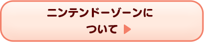 ニンテンドーゾーンについて