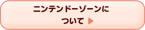 ニンテンドーゾーンについて