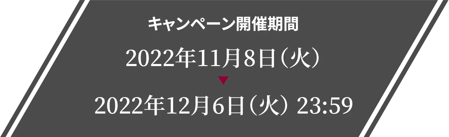 キャンペーン開催期間：2022年11月8日（火）〜2022年12月6日（火） 23:59