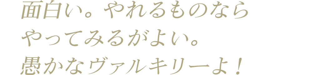 面白い。やれるものならやってみるがよい。愚かなヴァルキリーよ！