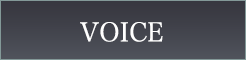VOICE